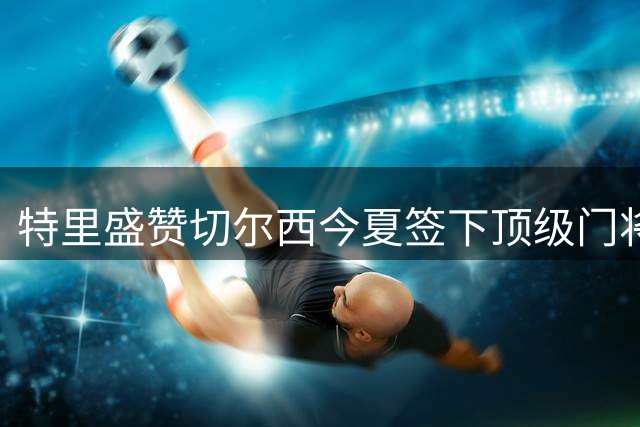 特里盛赞切尔西今夏签下顶级门将大马丁